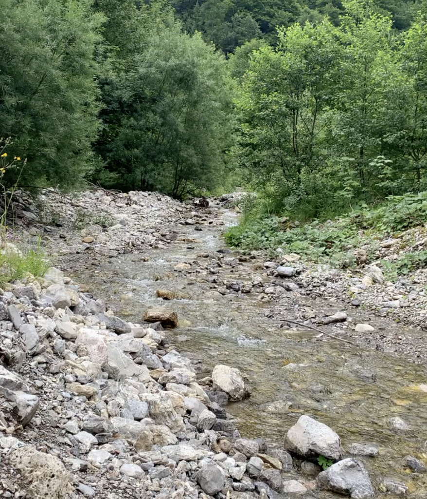 Naturgeräusche für die Gesundheit